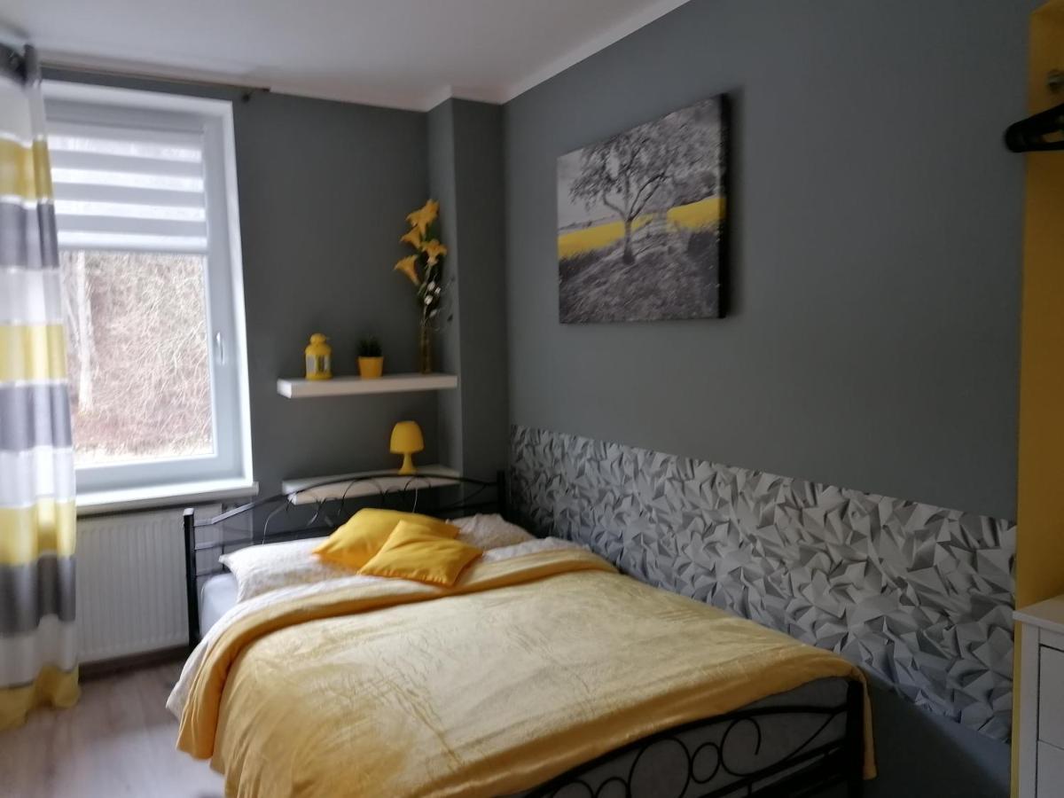 Apartament Grosik Duszniki Zdrój Extérieur photo